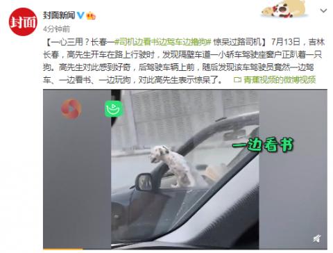 一心三用？司機(jī)邊看書(shū)邊駕車(chē)邊擼狗驚呆過(guò)路司機(jī)