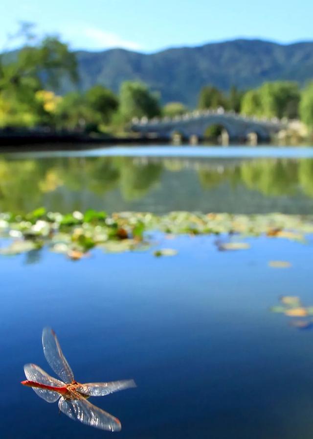 今日大暑丨迎風(fēng)沐雨，憧憬未來(圖5)
