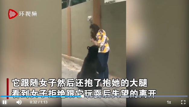 屢犯不改？墨西哥一只曾嗅女游客的黑熊又抱女子大腿 游客鎮(zhèn)定自拍