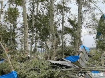 綏化突遭龍卷風(fēng)襲擊，房蓋在天上飛！村民：我70歲沒見過(guò)這事(圖6)
