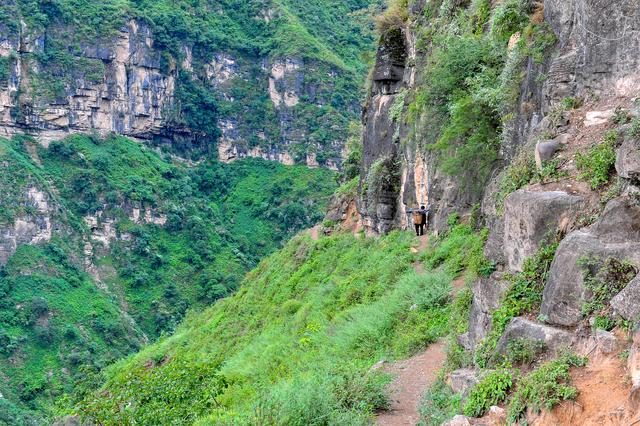 四川批準(zhǔn)涼山7縣摘帽脫貧！全省88個(gè)貧困縣全部清零